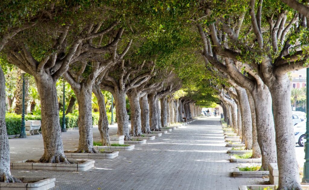 Design sans titre (2)